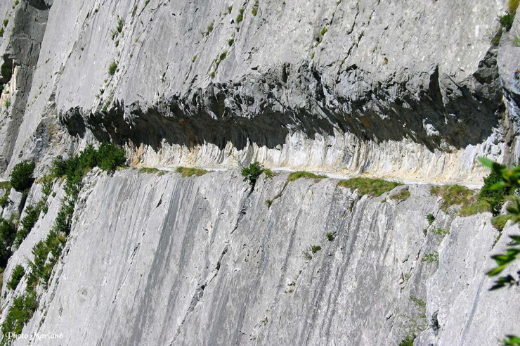Le Chemin de la Mâture, un site unique des Pyrénées atlantique Le Chemin de la Mâture, un site unique des Pyrénées atlantique