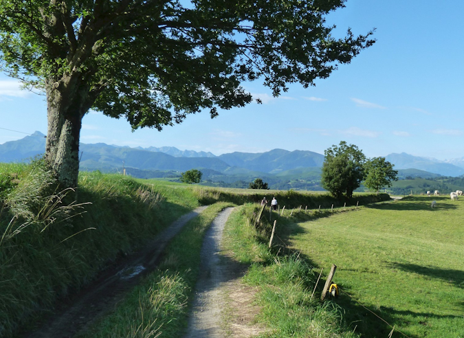 Le GR® 101 - Chemin de Lourdes a été prolongé au Nord vers Nogaro