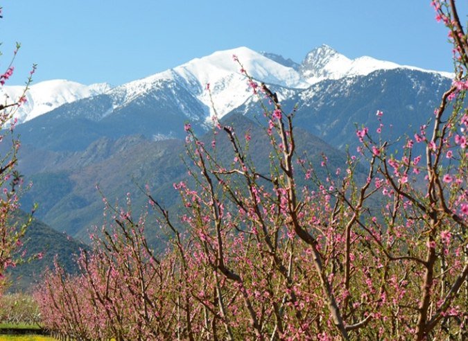 Le Grand Site de France du Canigó privilégie l'écotourisme (Pyrénées orientales)