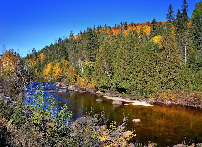 Le sentier de randonnée comme corridor écologique : l’exemple du Sentier national au Québec Le sentier de randonnée comme corridor écologique : l’exemple du Sentier national au Québec
