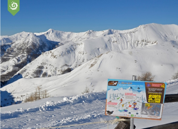 Les zones de quiétude du tétras-lyre dans le Mercantour 