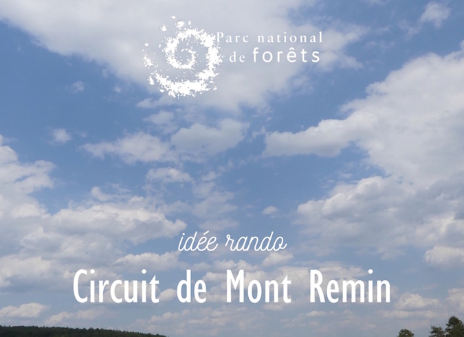  Une idée rando : le Mont Remin dans le Parc national de forêts