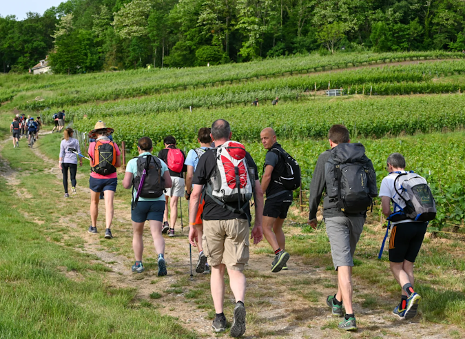 Les randos nature de la Montagne de Reims 