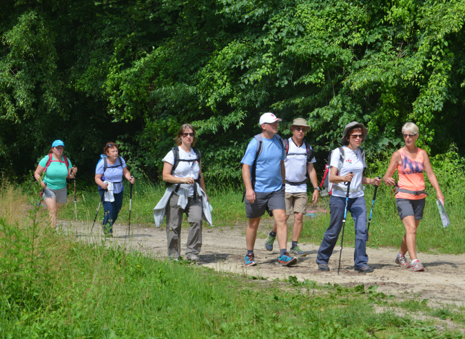 Un site pour la veille professionnelle des sports de nature Un site pour la veille professionnelle des sports de nature