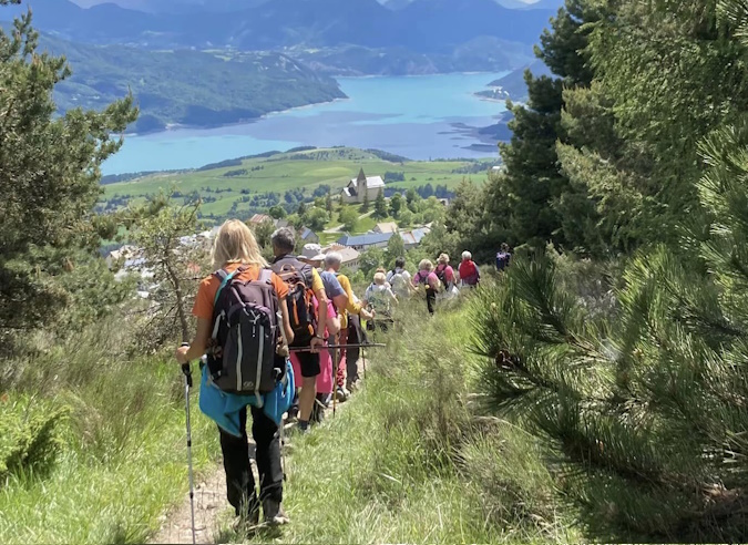 Des licences subventionnées en Sud Provence-Alpes-Côte d’Azur   Des licences subventionnées en Sud Provence-Alpes-Côte d’Azur