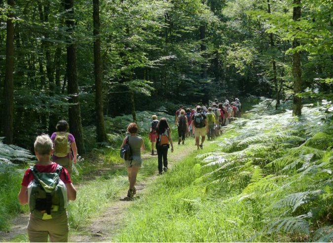 Une plateforme à l'intention des organisateurs de manifestations sportives 