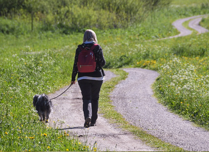 Enquête sur les bienfaits de la nature sur la santé 