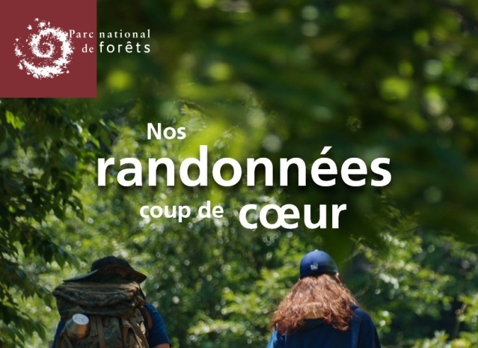  Randonner dans le Parc national des forêts (Haute-Marne / Côte d’Or) 