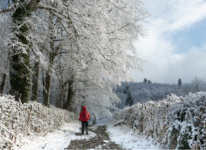 Tour du Haut Beaujolais à pied, entre deux Grosnes