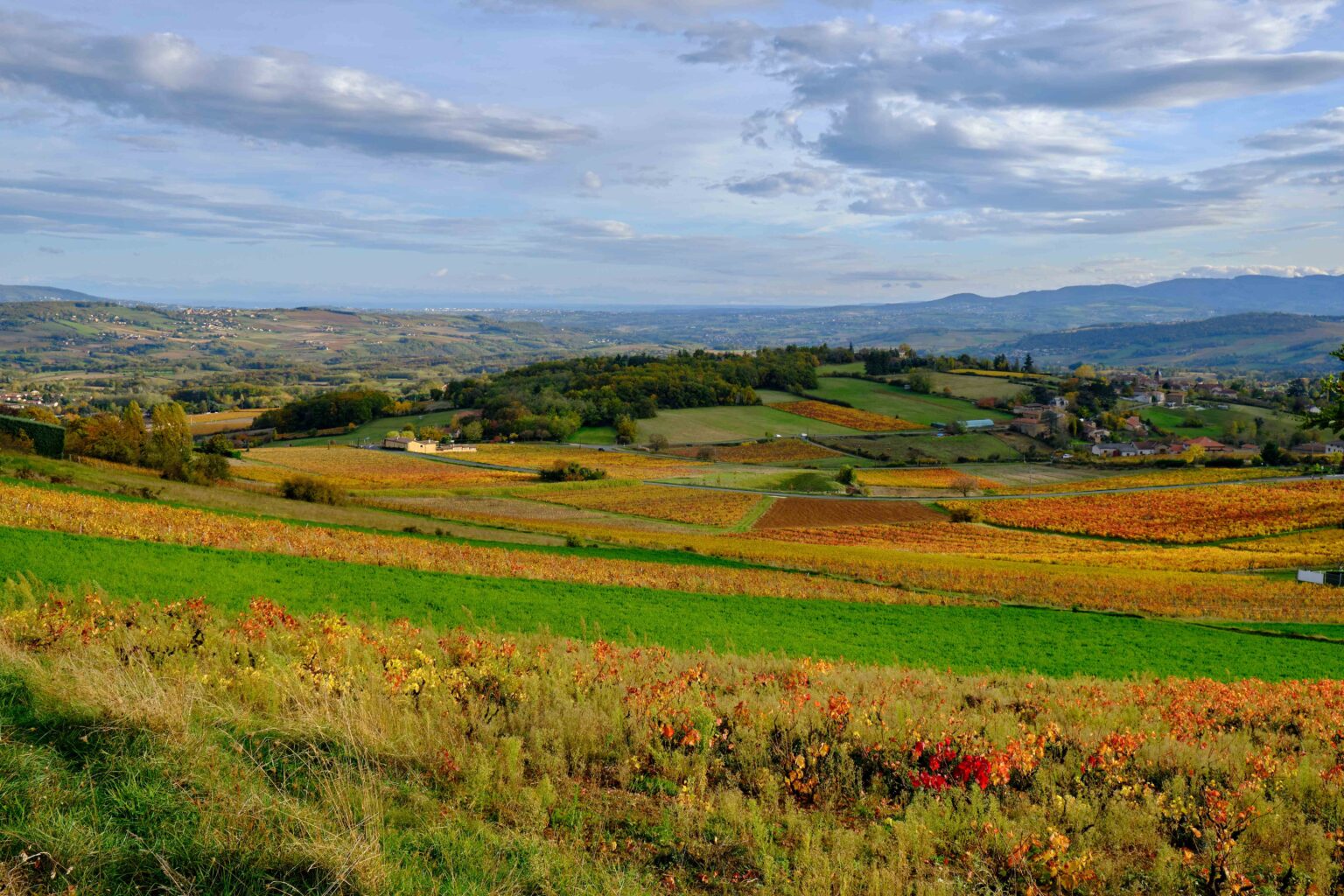  Le département du Rhône continue à étendre son réseau de sentiers de randonnée 