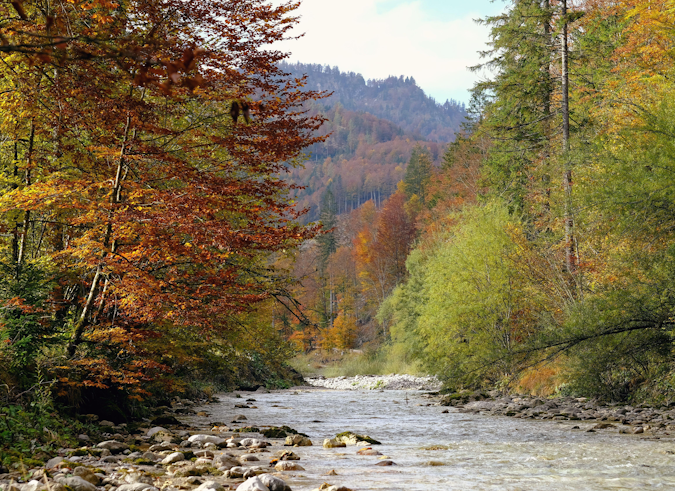Construire un barrage de galets ? Un geste qui porte atteinte à sa santé d’un ruisseau 