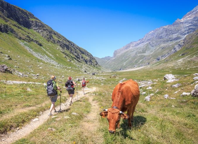 Une réalisation concrète du sport adapté : "Montagnez-nous" 
