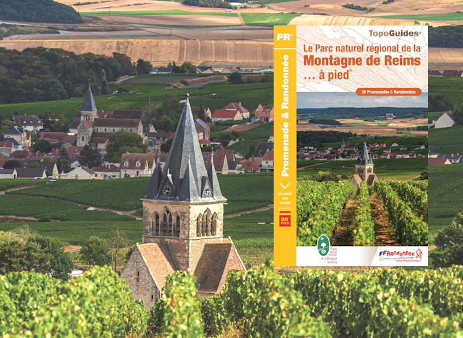 Le Parc naturel régional de la Montagne de Reims (PNR) célèbre ses 50 ans. 