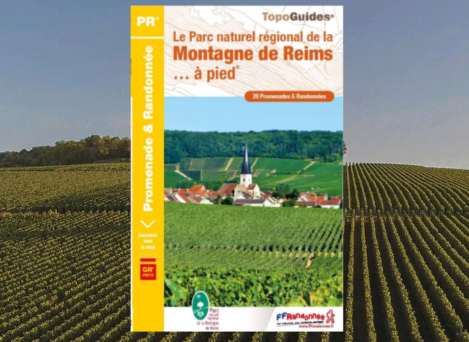 Sur l’itinéraire de Grande Randonnée, le GR de Pays GR®P de la Montagne de Reims