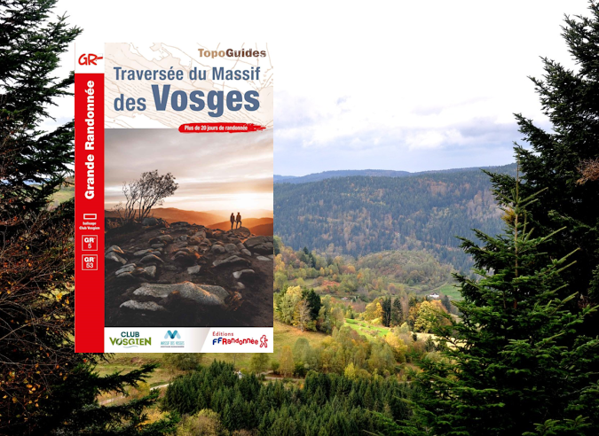 Parcourir le nord du massif des Vosges ? Suivez le sentier de Grande Randonnée GR® 53