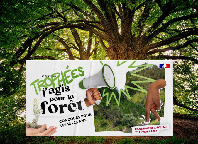 Les Trophées #jagispourlaforêt, un concours pour les jeunes engagés en faveur de la forêt