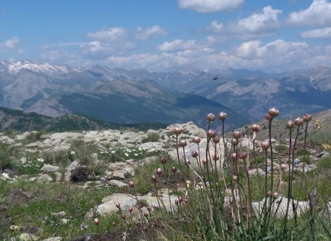Le sentier de Grande Randonnée GR® 49 dévoile les beautés du cœur du Var 18 