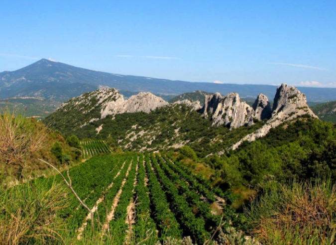 Le Vaucluse, une source inépuisable de randonnées loin de la foule 