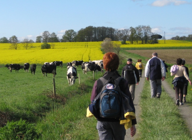 Pays de la Loire : protéger la biodiversité en recensant les chemins ruraux