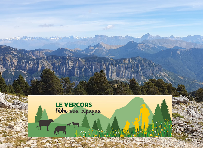À la rencontre des bergers et leurs troupeaux le 25 juillet 2025 dans le Vercors 
