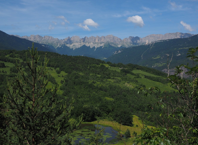    La réserve biologique intégrale du Vercors : là où la biodiversité s’exprime ! 