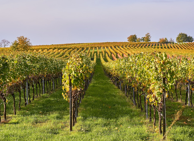 Modernisation du réseau de sentiers du Fronsadais en Gironde 
