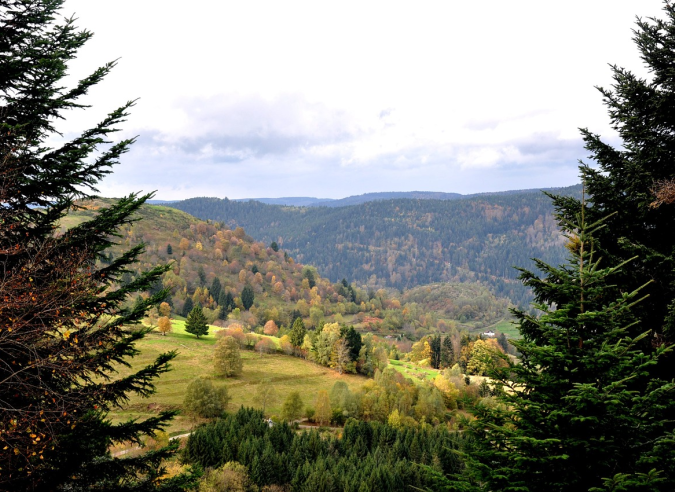 Le massif des Vosges à pied avec la Navette des Crêtes 