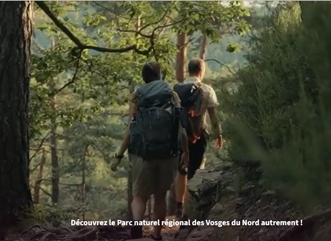 Vosges du nord : un site incontournable pour randonner