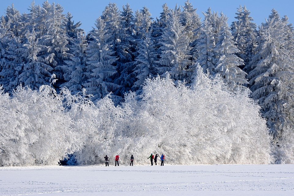 winter-6762640_960_720 winter-6762640_960_720