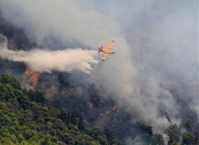 actu incendie forêt V2