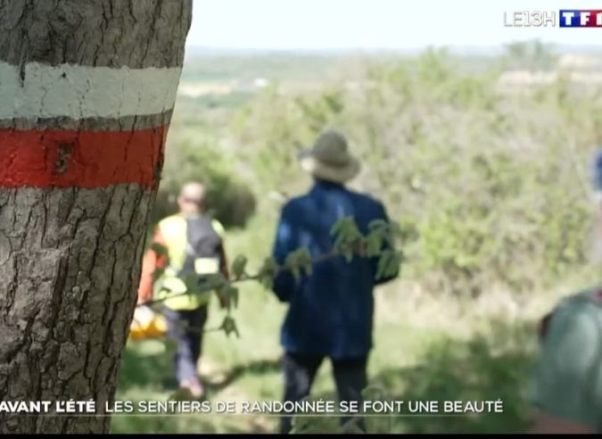 Reportage TF1 : l’entretien et le balisage des sentiers par les bénévoles  de la FFRandonnée 