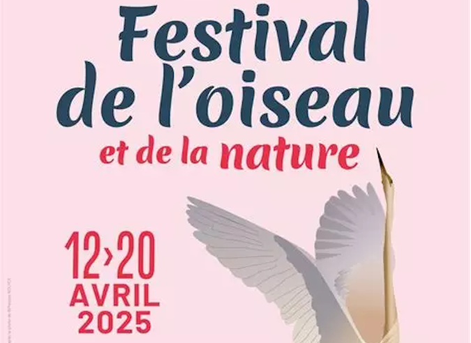 Festival de l'oiseau et de la nature - Baie de Somme – 12 – 20 avril 2025 Festival de l'oiseau et de la nature - Baie de Somme – 12 – 20 avril 2025