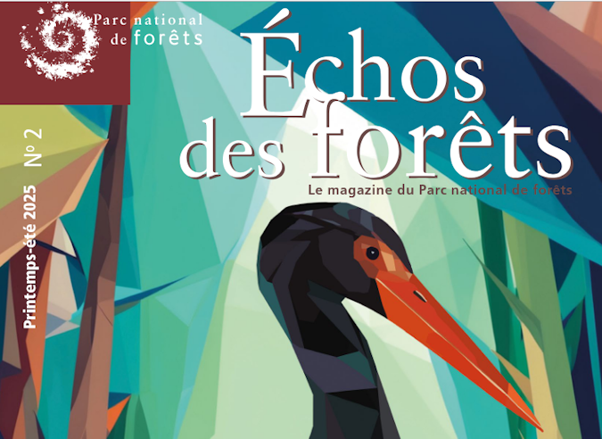 Du nouveau du côté du Parc national des forêts ! 