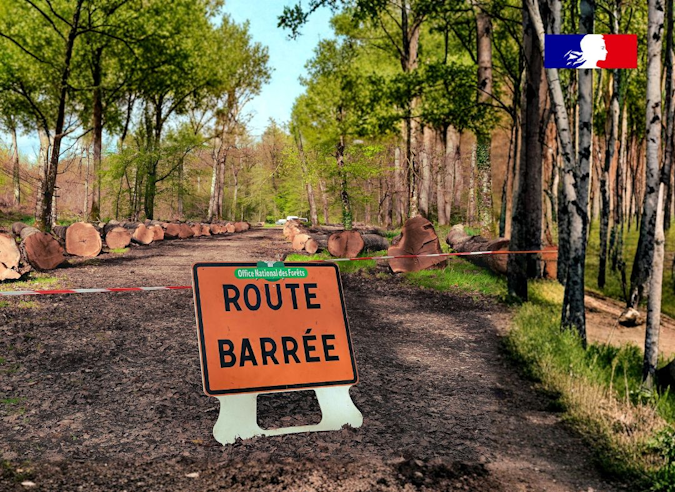  Chantier forestier en vue ? Respectez les interdictions d’accès !