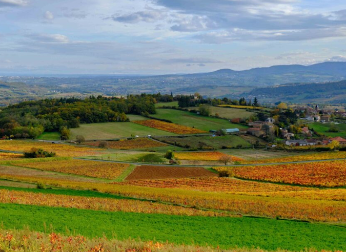  Balades dans les Pierres Dorées du Beaujolais
