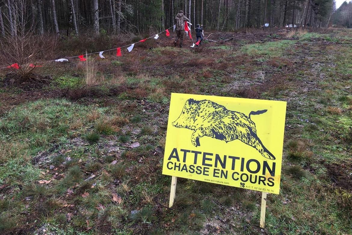 Chasse en Sologne- décembre 2019 - DR Chasse en Sologne- décembre 2019 - DR