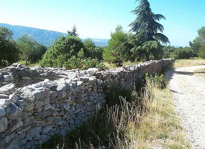 confirnement-jadis-mur-contre-peste confirnement-jadis-mur-contre-peste