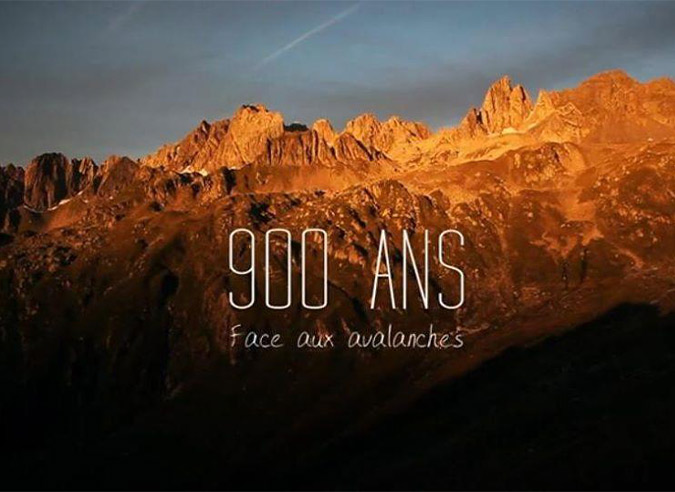 foret-protection-contre-avalanches foret-protection-contre-avalanches