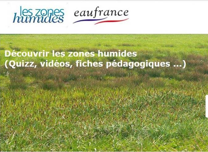 journee-zones-humides-fevrier journee-zones-humides-fevrier