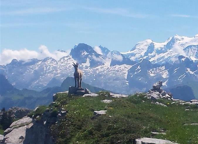 montagne-sentinelles-changement