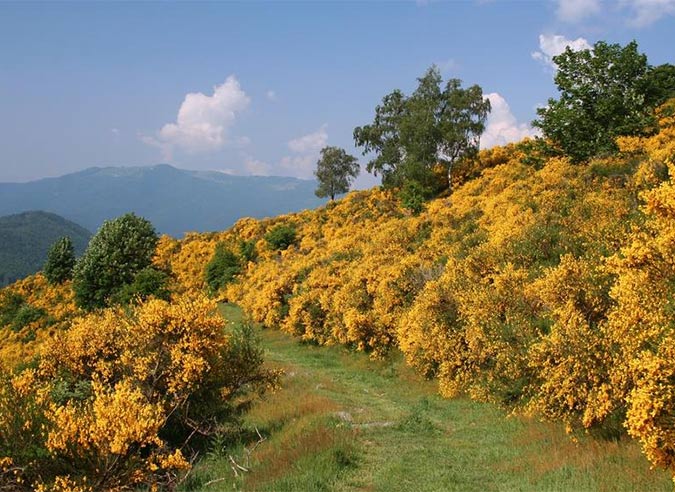 randonner-sans-voiture-vosges randonner-sans-voiture-vosges