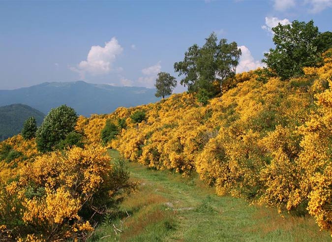 randonner-sans-voiture-vosges