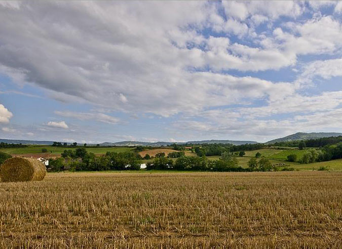 top-10-randos-rafraichissantes-loire top-10-randos-rafraichissantes-loire