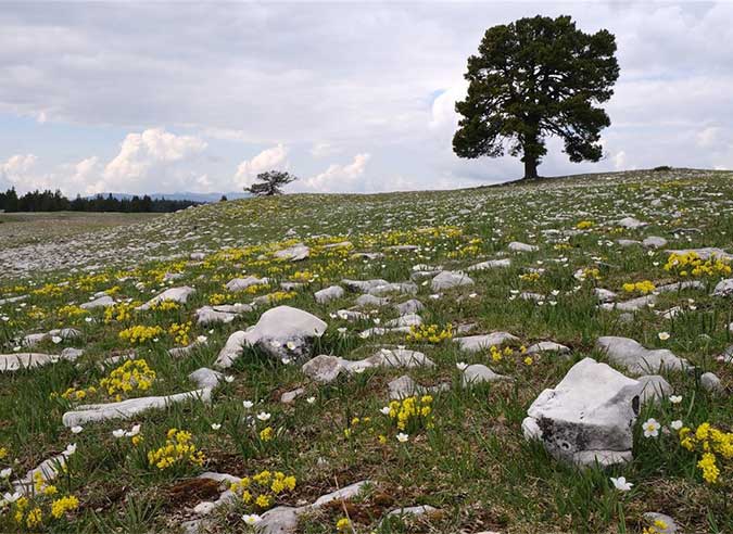 bivouac-dans-vercors bivouac-dans-vercors