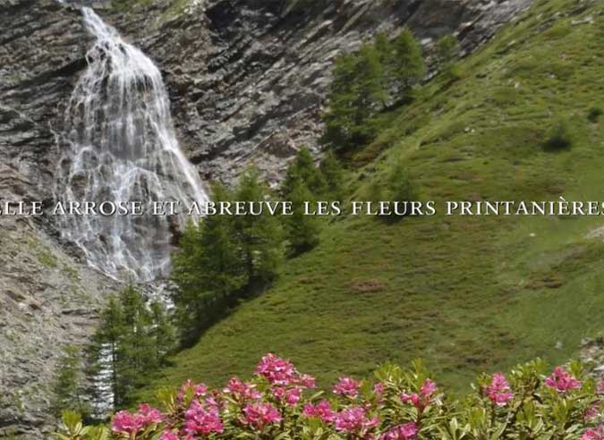 carnet-de-saison-eau-en-cascades