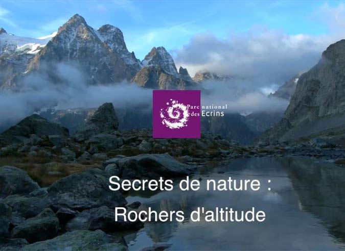 secret-de-nature-sur-les-rochers-altitude