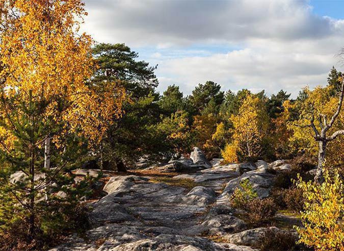  Les forêts d’Île de France accessibles en train