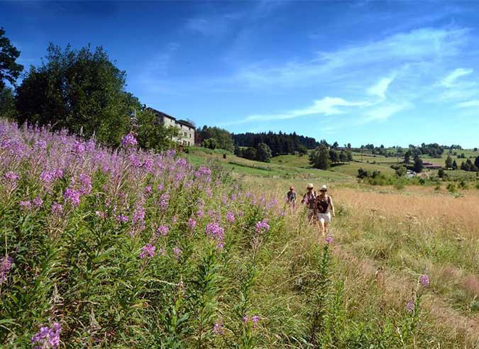 nouvelles-balises-gr-65-loire