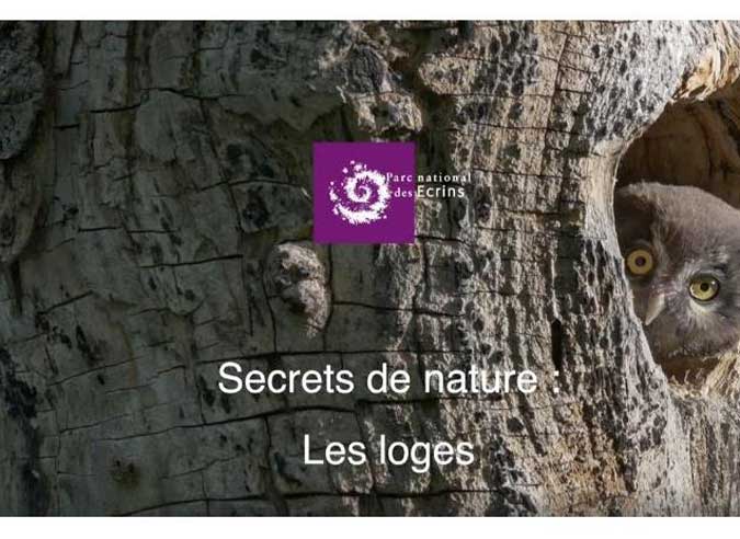 secret-nature-loges secret-nature-loges
