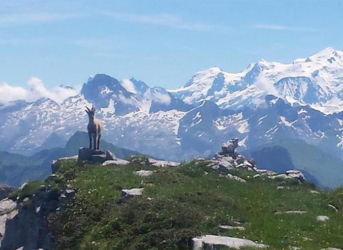 surfrequentation-touristique-alpes surfrequentation-touristique-alpes